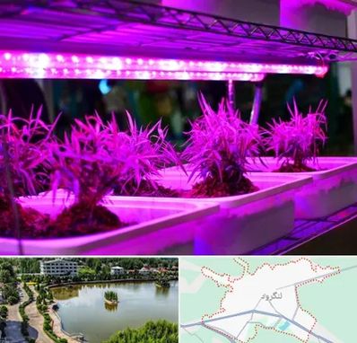 فروش لامپ رشد گیاه در لنگرود