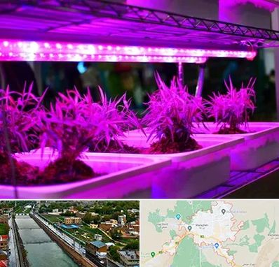 فروش لامپ رشد گیاه در مراغه