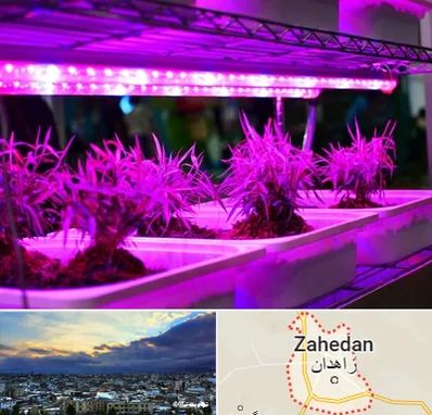 فروش لامپ رشد گیاه در زاهدان