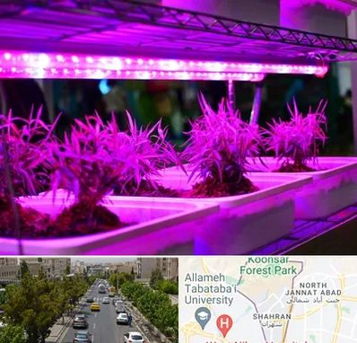 فروش لامپ رشد گیاه در شهران 