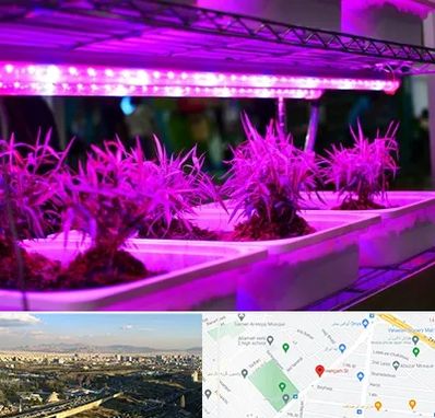 فروش لامپ رشد گیاه در هنگام 
