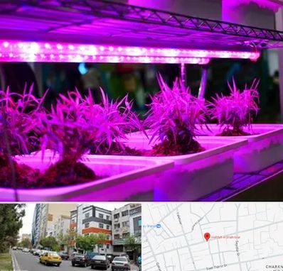 فروش لامپ رشد گیاه در هفده شهریور تبریز