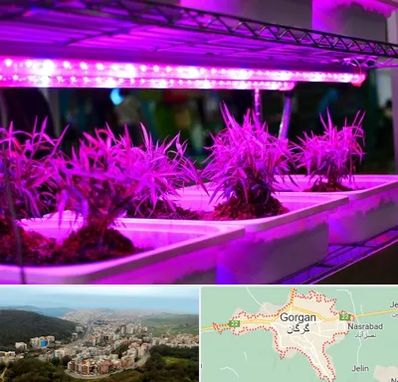 فروش لامپ رشد گیاه در گرگان