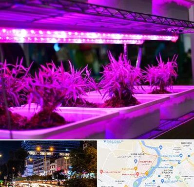فروش لامپ رشد گیاه در کیانپارس اهواز 
