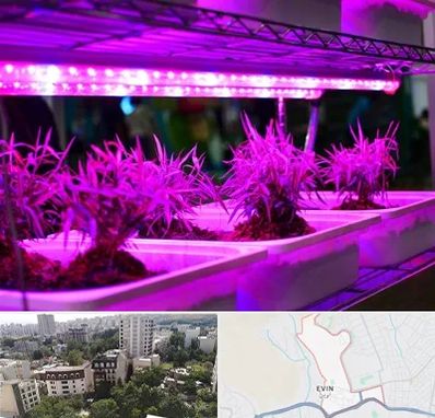 فروش لامپ رشد گیاه در اوین