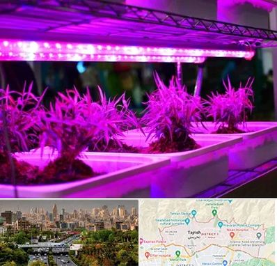 فروش لامپ رشد گیاه در منطقه 1 تهران 