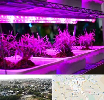 فروش لامپ رشد گیاه در منطقه 20 تهران 