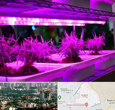 فروش لامپ رشد گیاه در عظیمیه کرج 