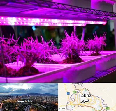 فروش لامپ رشد گیاه در تبریز