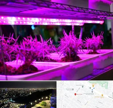 فروش لامپ رشد گیاه در هفت تیر مشهد 
