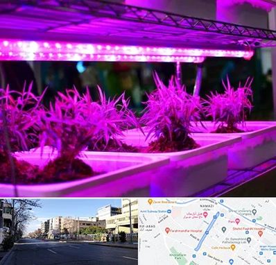 فروش لامپ رشد گیاه در خیابان ملاصدرا شیراز 