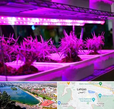 فروش لامپ رشد گیاه در لاهیجان