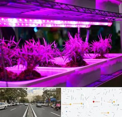 فروش لامپ رشد گیاه در دولت 