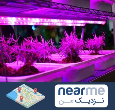 فروش لامپ رشد گیاه در نزدیک من
