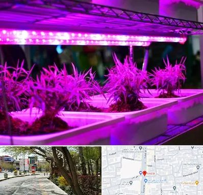 فروش لامپ رشد گیاه در خیابان توحید اصفهان 