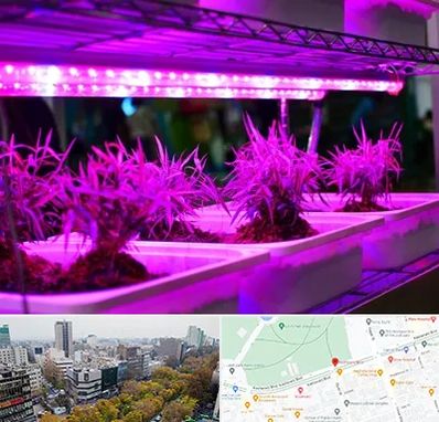 فروش لامپ رشد گیاه در بلوار کشاورز 