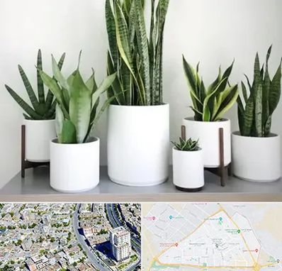 فروش گلدان در قاسم آباد مشهد 