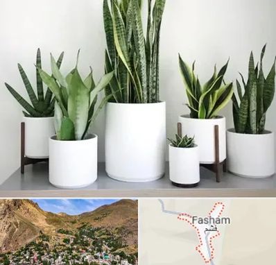 فروش گلدان در فشم