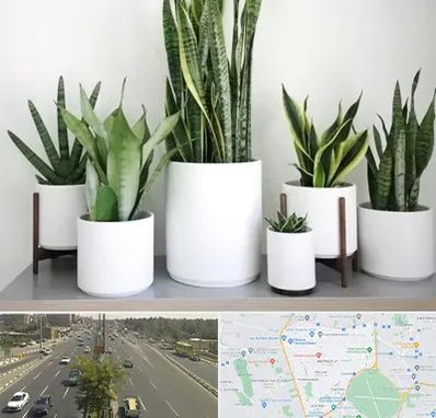 فروش گلدان در منطقه 17 تهران 