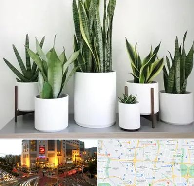 فروش گلدان در جنت آباد تهران 