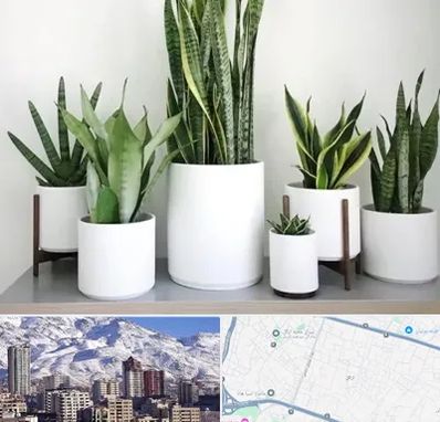 فروش گلدان در ازگل