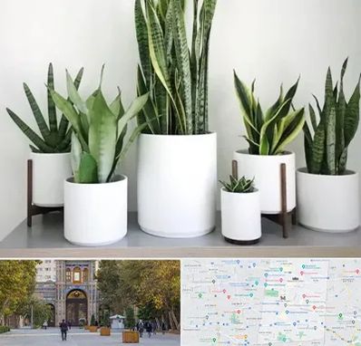 فروش گلدان در منطقه 12 تهران 