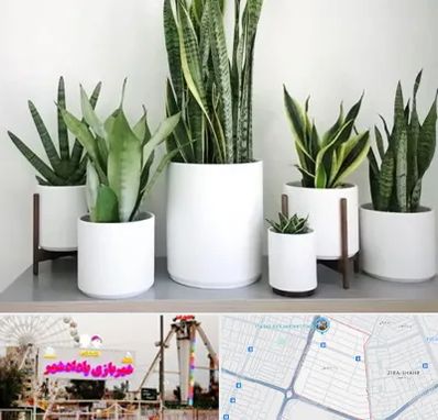 فروش گلدان در پادادشهر اهواز