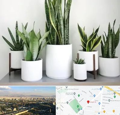 فروش گلدان در هنگام 