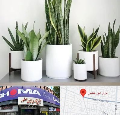 فروش گلدان در امین حضور