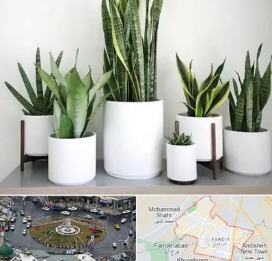 فروش گلدان در فردیس کرج 