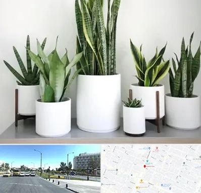 فروش گلدان در بلوار کلاهدوز مشهد 