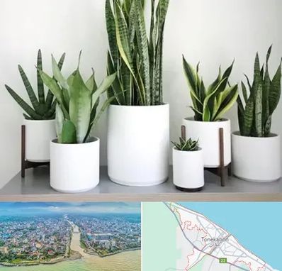 فروش گلدان در تنکابن