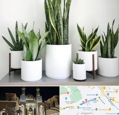 فروش گلدان در زرگری شیراز 