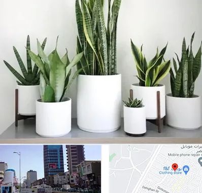 فروش گلدان در چهارراه طالقانی کرج 