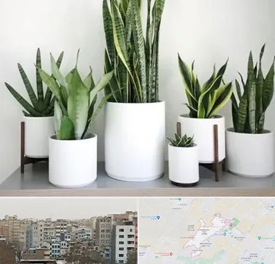 فروش گلدان در محمد شهر کرج 