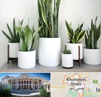 فروش گلدان در خمینی شهر