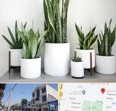 فروش گلدان در افسریه 