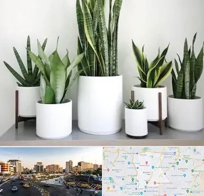 فروش گلدان در منطقه 7 تهران 