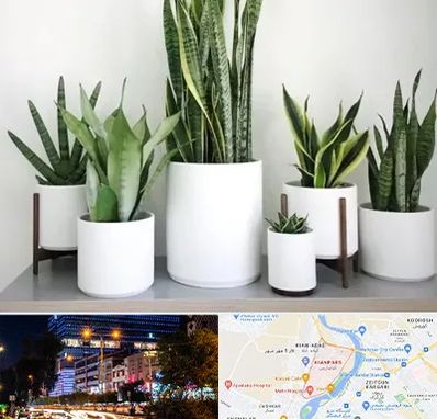 فروش گلدان در کیانپارس اهواز 