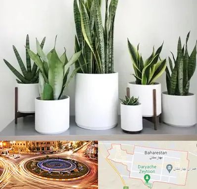 فروش گلدان در بهارستان