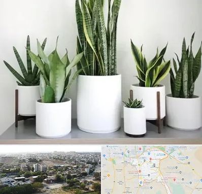 فروش گلدان در منطقه 20 تهران 