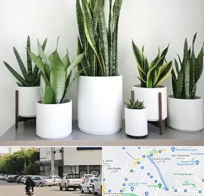 فروش گلدان در قدوسی شرقی شیراز 