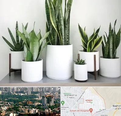 فروش گلدان در عظیمیه کرج 