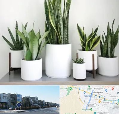 فروش گلدان در شریعتی مشهد 