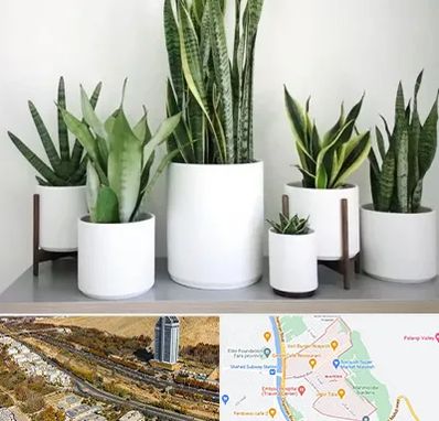 فروش گلدان در خیابان نیایش شیراز 