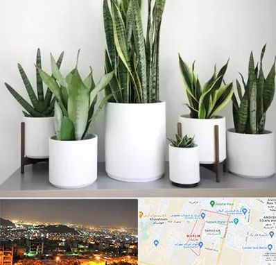 فروش گلدان در مارلیک کرج 