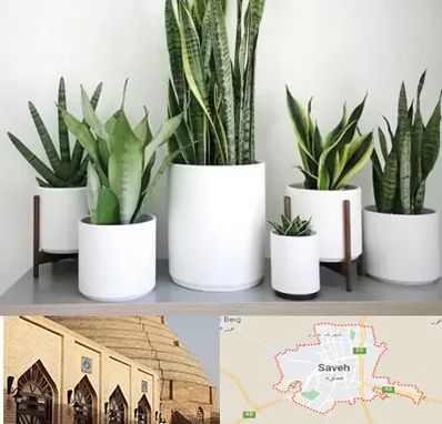 فروش گلدان در ساوه