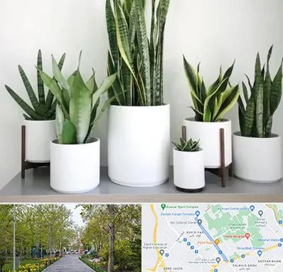 فروش گلدان در قدوسی غربی شیراز 