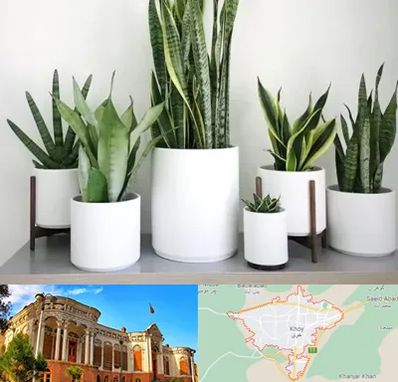 فروش گلدان در خوی