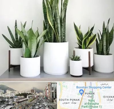 فروش گلدان در پونک 